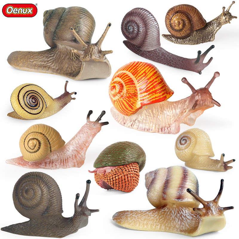 Smart Garden Mini - Oenux Wild Insect Animals Snails Growth