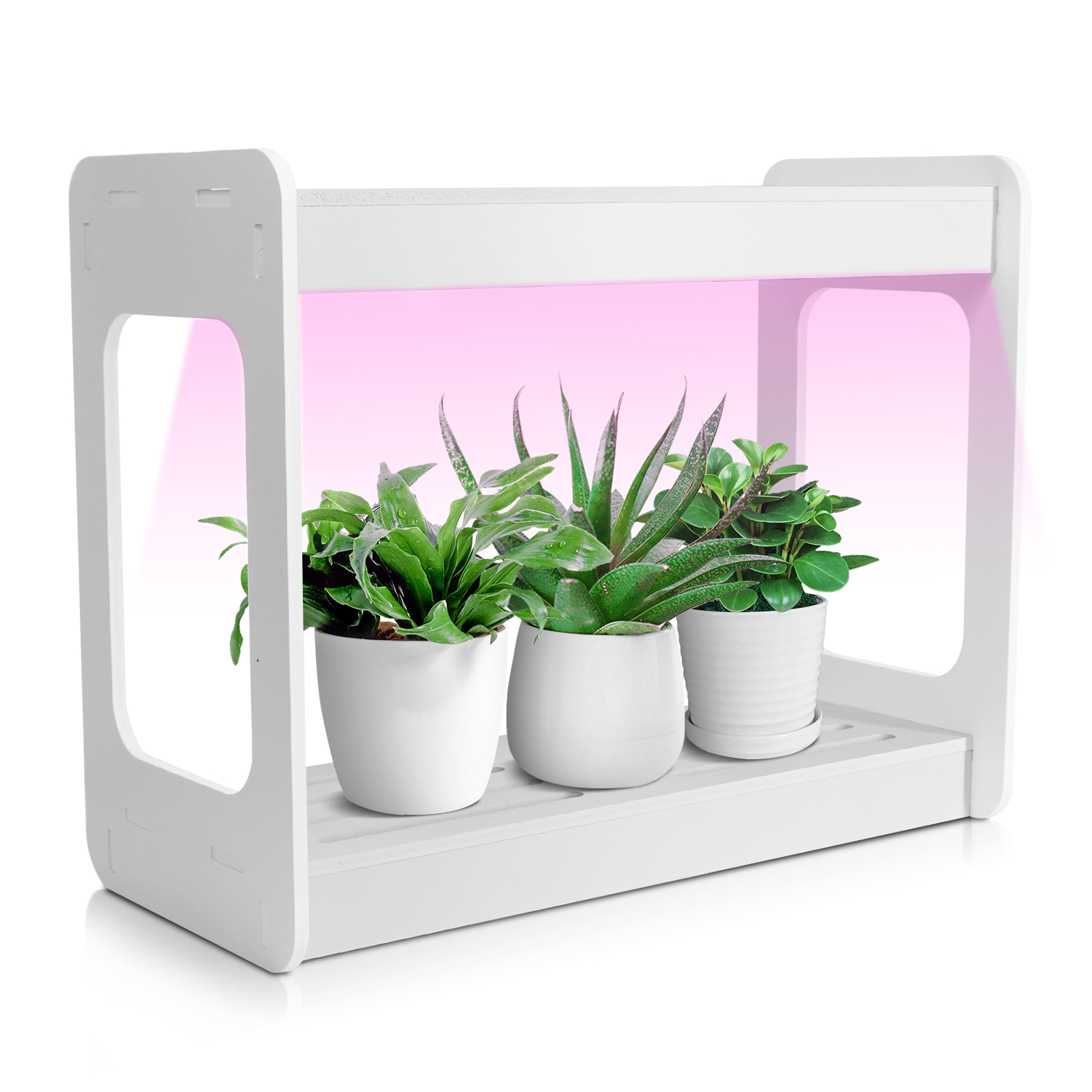 Smart Mini LED Grow Light Syst - Smart Garden Mini 리뷰 및 가격