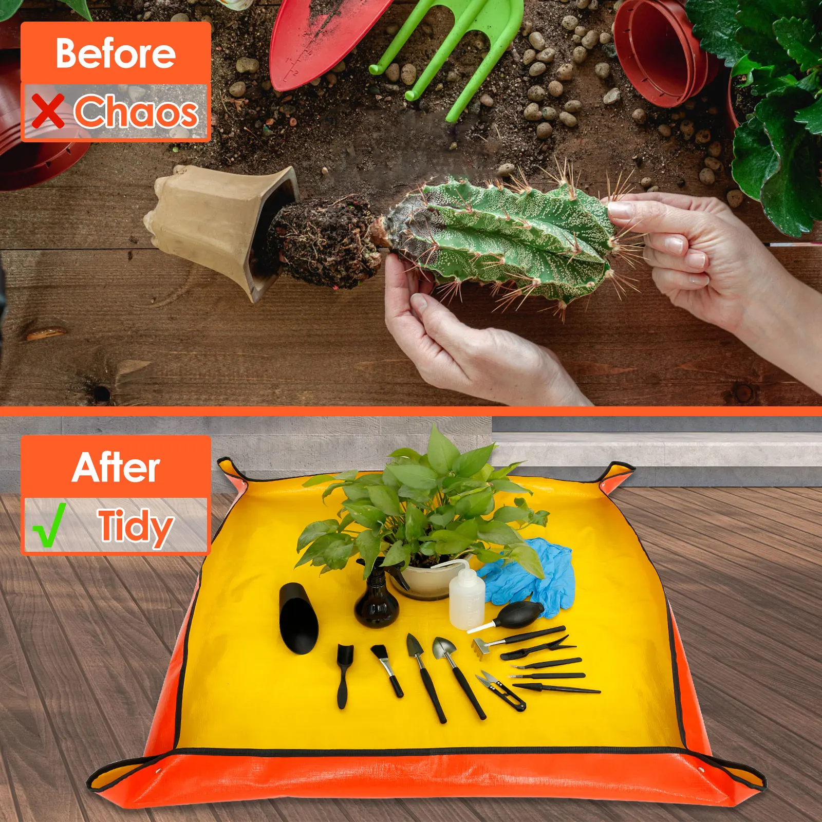 13/16Pcs Garden Succulent Plan - Smart Garden Mini 리뷰 및 가격