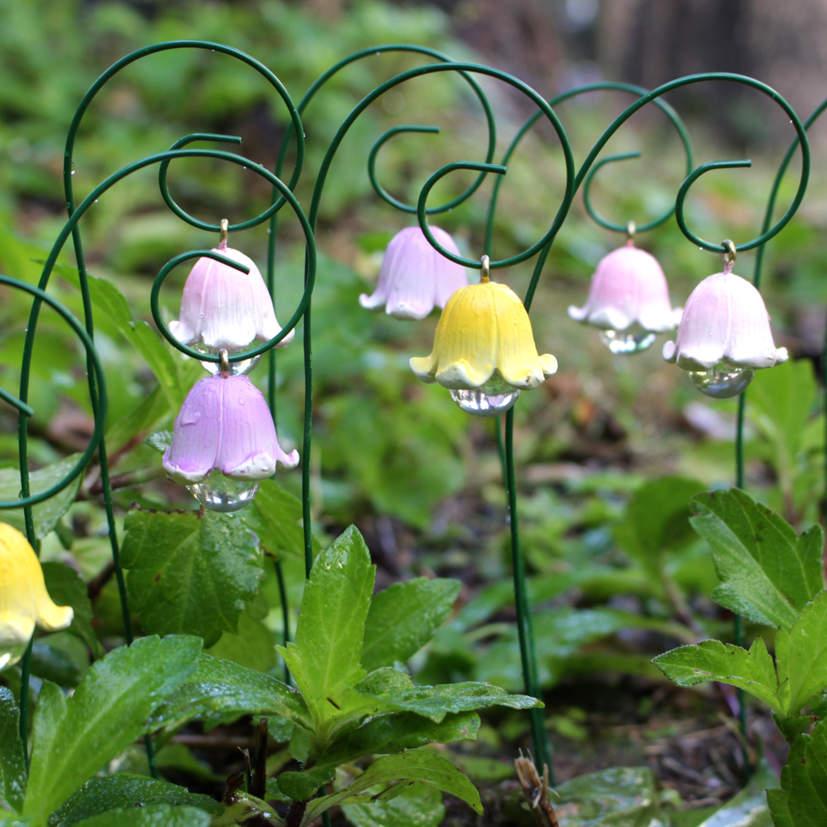 9pcs,Lily Of The Valley That W - Smart Garden Mini 리뷰 및 가격
