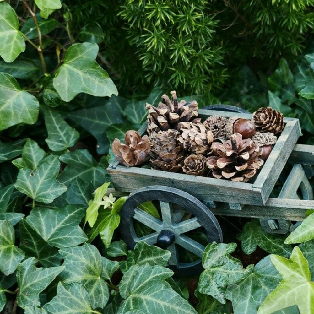 High Quality 1:12 Scale Dollho - Smart Garden Mini 리뷰 및 가격